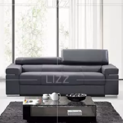 What is the meaning of the leather sofa?