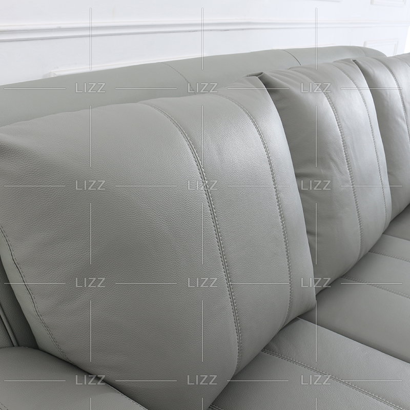Living Room Leisure gray Leather Sofa