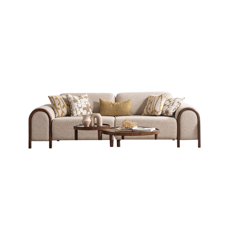 Nordic Furniture Modern Lounge Suite Solid Wood Goldol Sofa Set