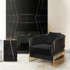 China Sofa Furniture Factory Gold Stainless Steel Frame Mandy Armchair