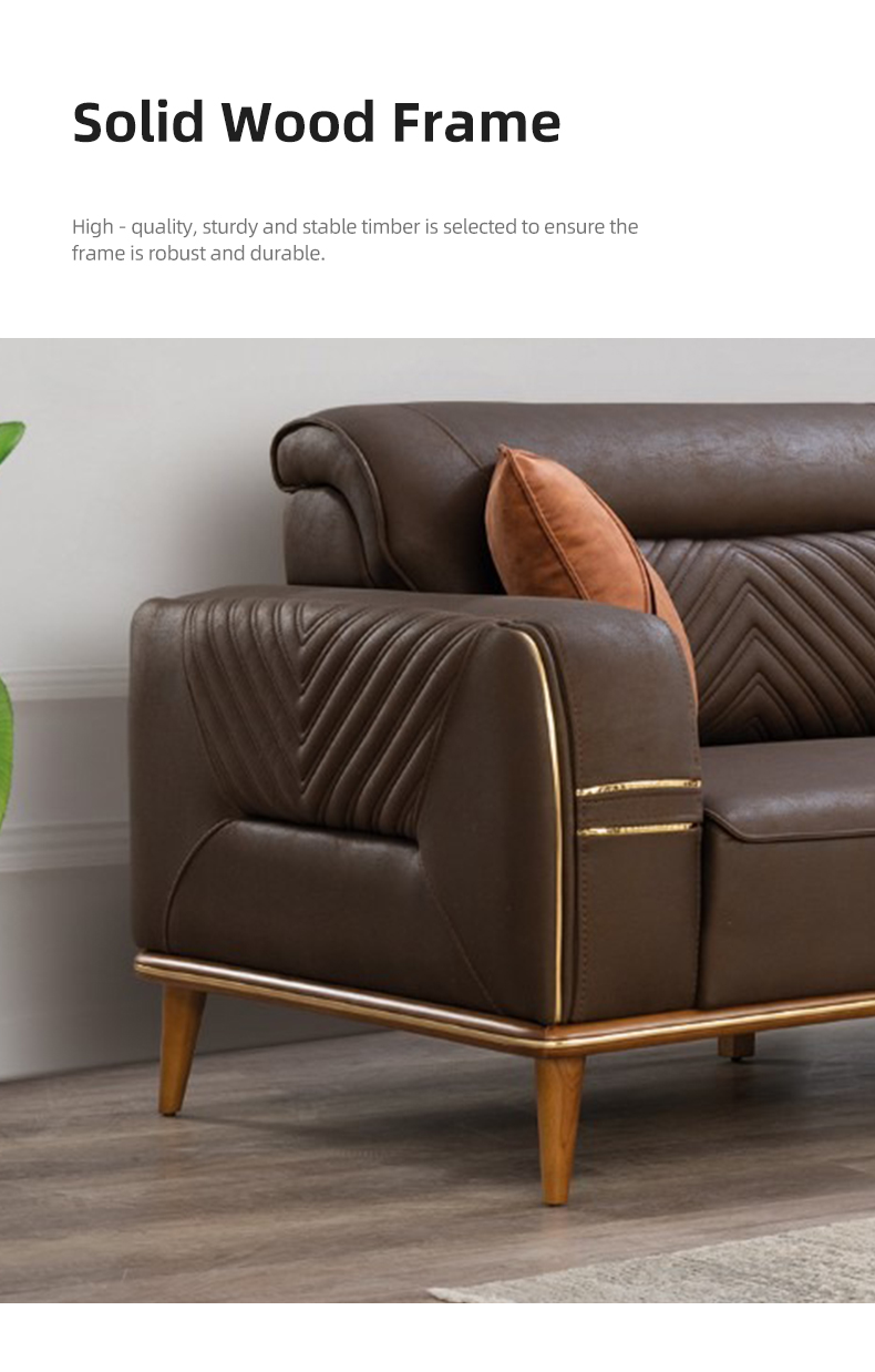 Elite leather couch (5)
