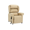 Homecare Sofa Chairs Renray Motor Electric Rise Recliner Chair Furniture for Nursing Homes
