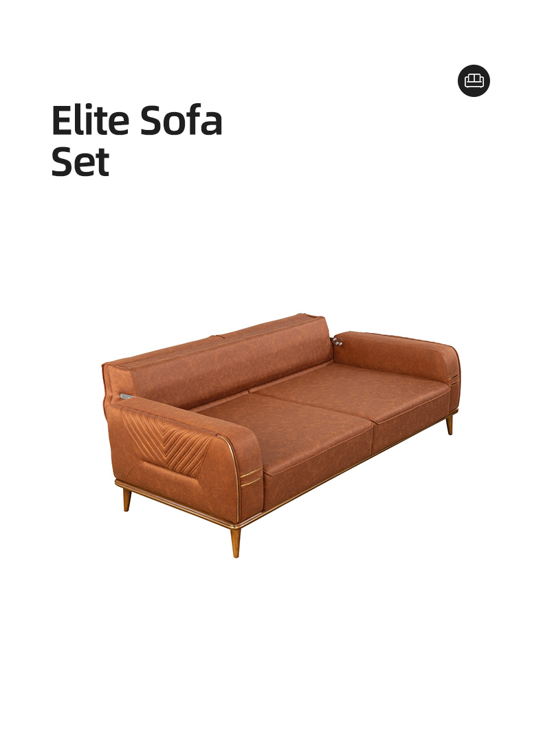 Elite leather couch (1)