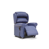 Homecare Sofa Chairs Renray Motor Electric Rise Recliner Chair Furniture for Nursing Homes