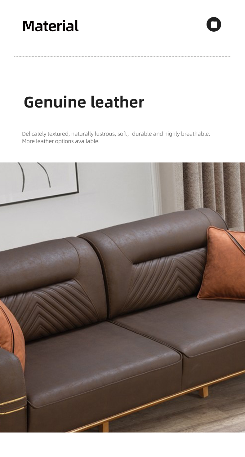Elite leather couch (4)