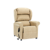 Homecare Sofa Chairs Renray Motor Electric Rise Recliner Chair Furniture for Nursing Homes